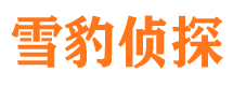 开原市私家侦探